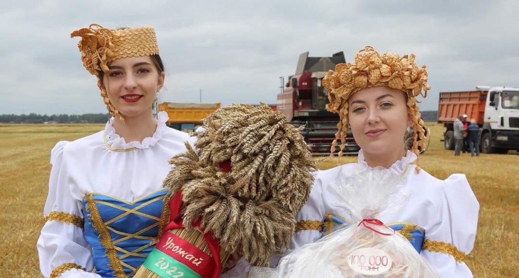 Шкловские хлеборобы намолотили 100 тысяч тонн зерна