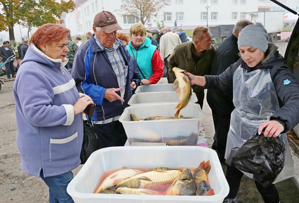 Осенью в Шклове пройдут сельскохозяйственные ярмарки
