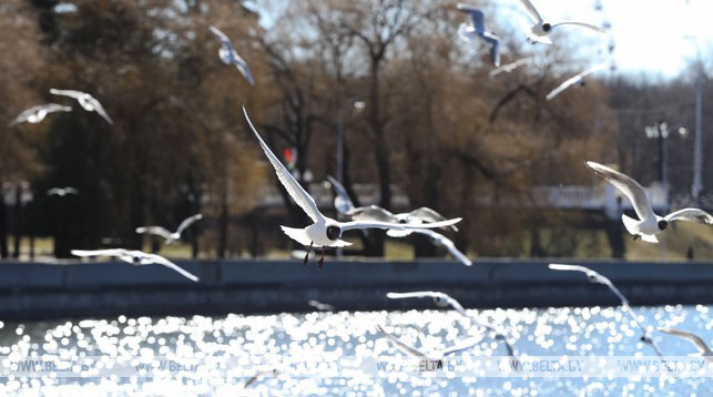 До +16°С ожидается в Беларуси 5 апреля