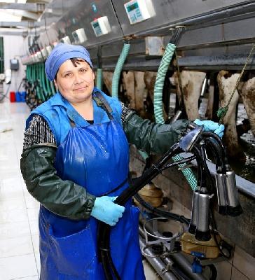 Молочных дел мастерица