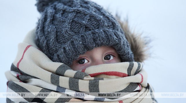 Оранжевый уровень опасности объявлен в Беларуси 17 января из-за сильного ветра