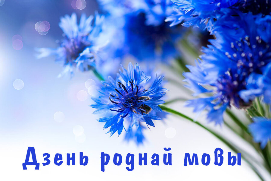 Сёння — Міжнародны дзень роднай мовы. Разважаем на тэму таго, якое месца займае беларуская мова ў нашым грамадстве