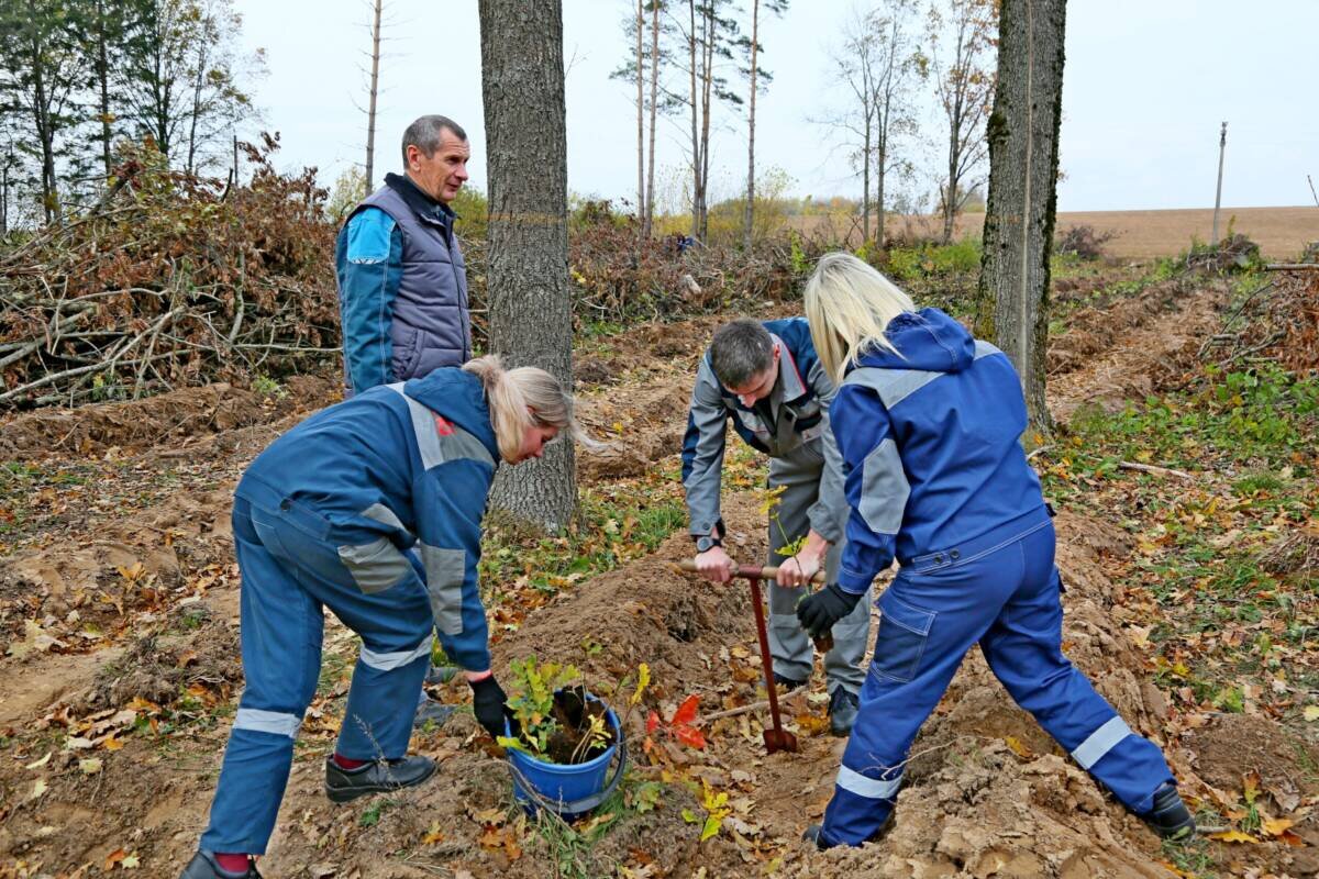 Работники РУП “Могилевоблгаз” приняли участие в акции “Аднавім лясы разам”