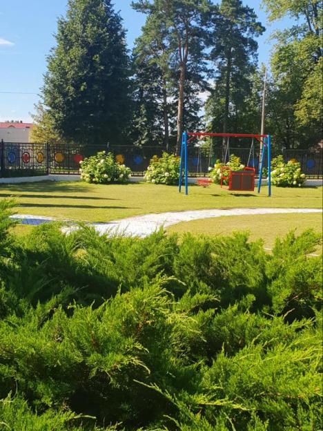 Городецкий ФАП в числе победителей областного конкурса «Лучшее благоустройство территории организации здравоохранения Могилевской области»