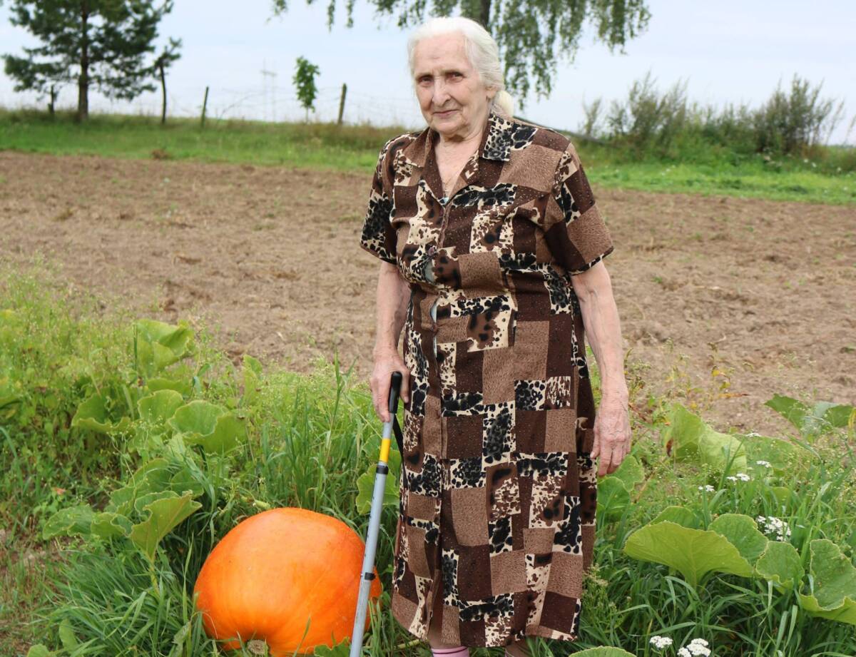 90-летняя жительница Слободки вырастила невиданный урожай тыквы