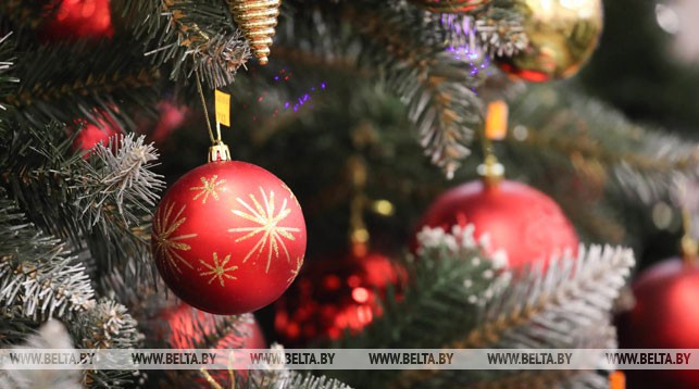 Елочка прямо из леса – до 30 базовых величин