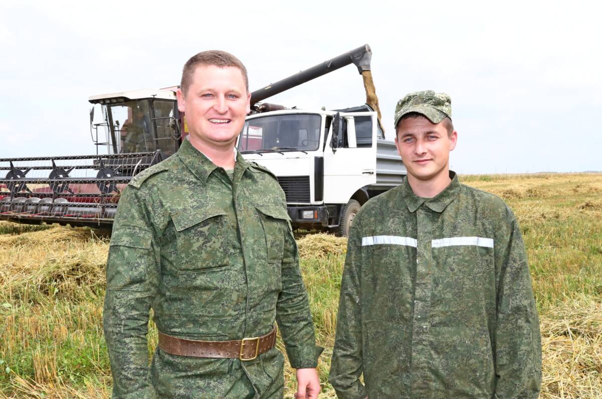 К уборочной кампании на Шкловщине подключились военнослужащие