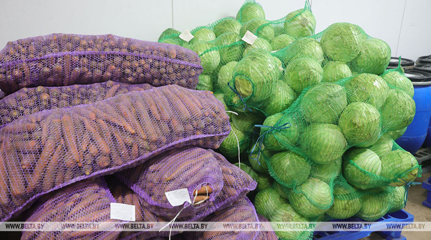 Наличие и условия хранения продукции в стабфондах проверят по всей стране