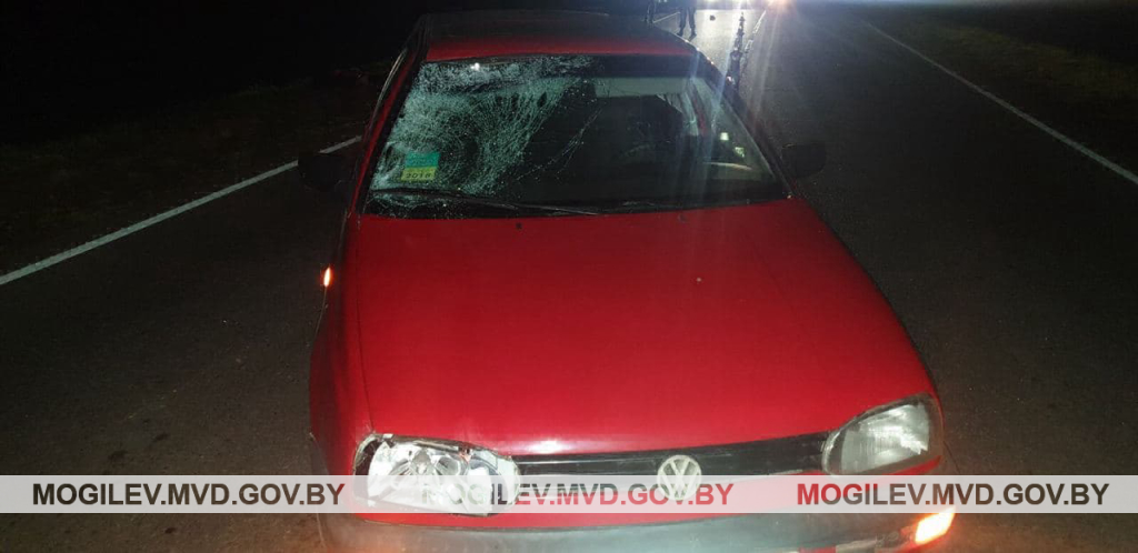 Возле деревни Даньковичи произошел наезд на пешехода, мужчина погиб
