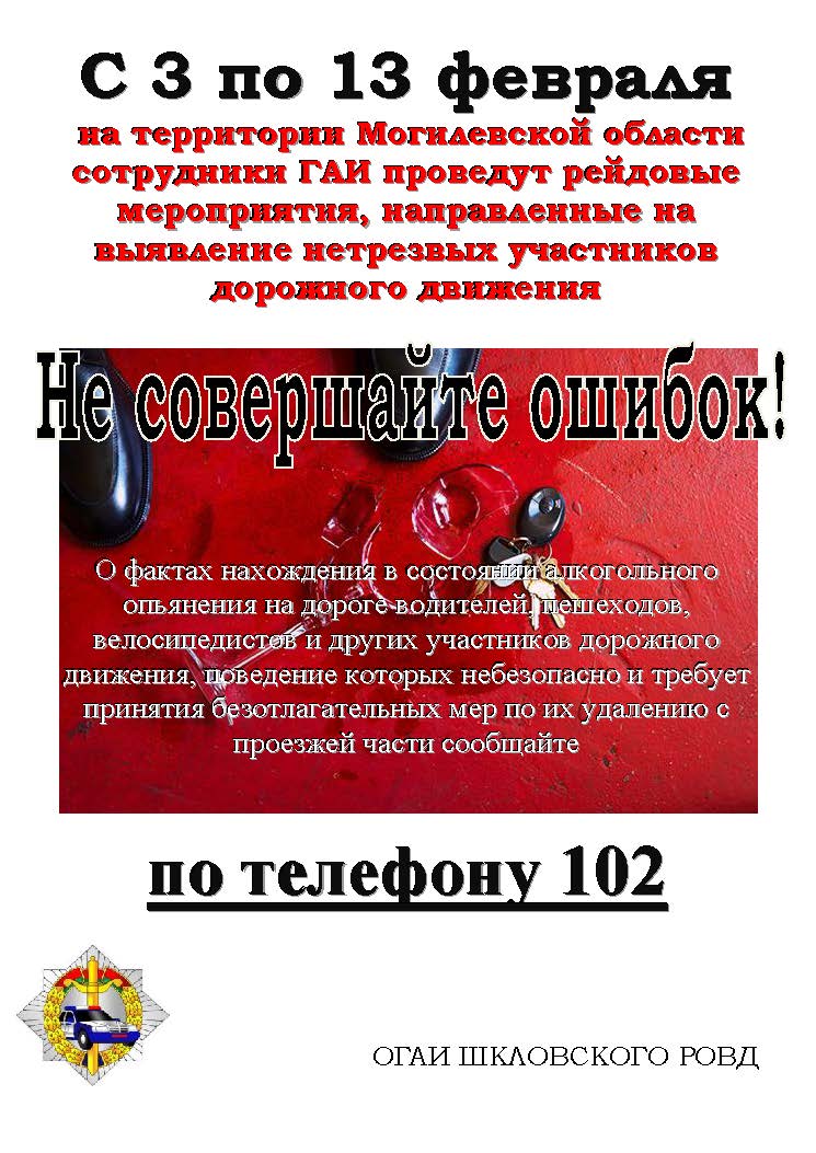 с 3 февраля ГАИ проведет комплекс мер по профилактике ДТП с нетрезвыми участниками дорожного движения