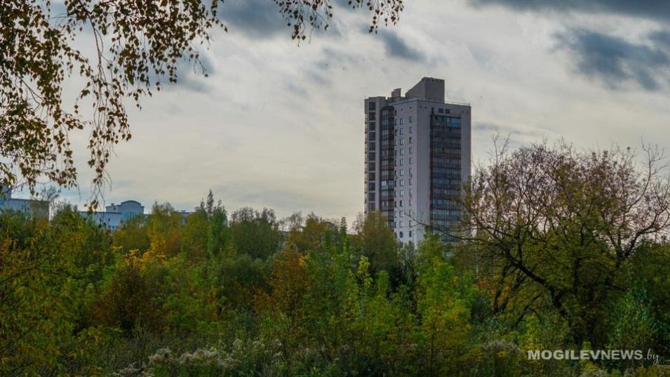 Погода на выходные: минимум +2°С, максимум +19°С и без осадков ожидается в Могилевской области