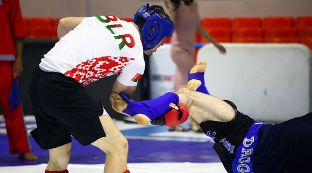 В Бобруйске с 1 по 4 ноября проходит  чемпионат мира по панкратиону