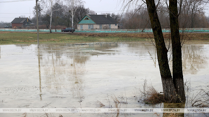 Талые воды подтопили 11 дачных домов и 30 хозпостроек в Гомельской области