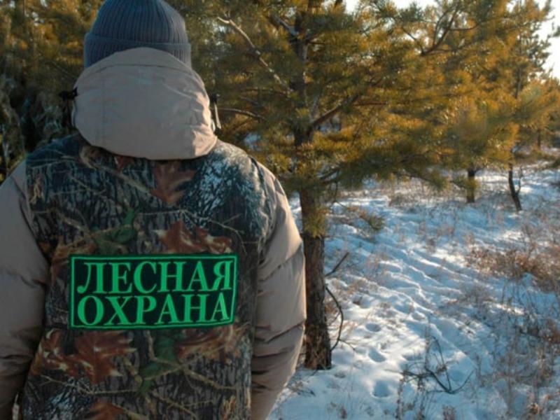 Усиленный режим охраны лесов вводится в Могилевской области с 19 декабря