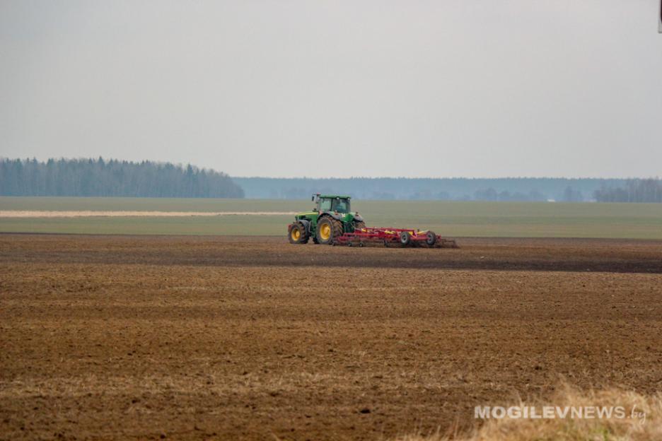 Хлеборобы Могилевской области начали сев ранних яровых культур
