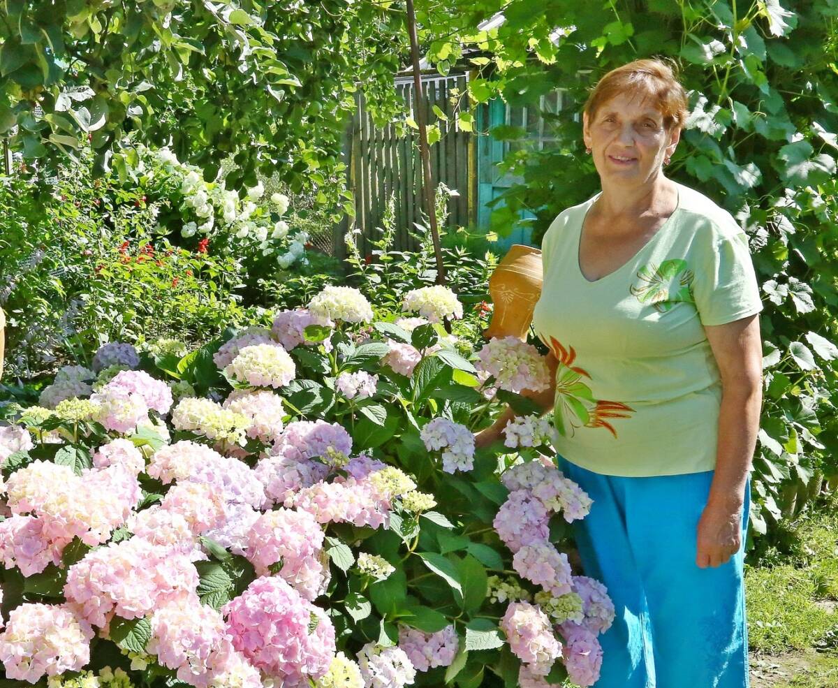 На подворье Тамары Шушкевич из деревни Станция Лотва – цветы, красота и уют