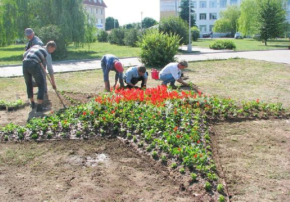 Клумба в форме звезды появилась в центре города (ВИДЕО)