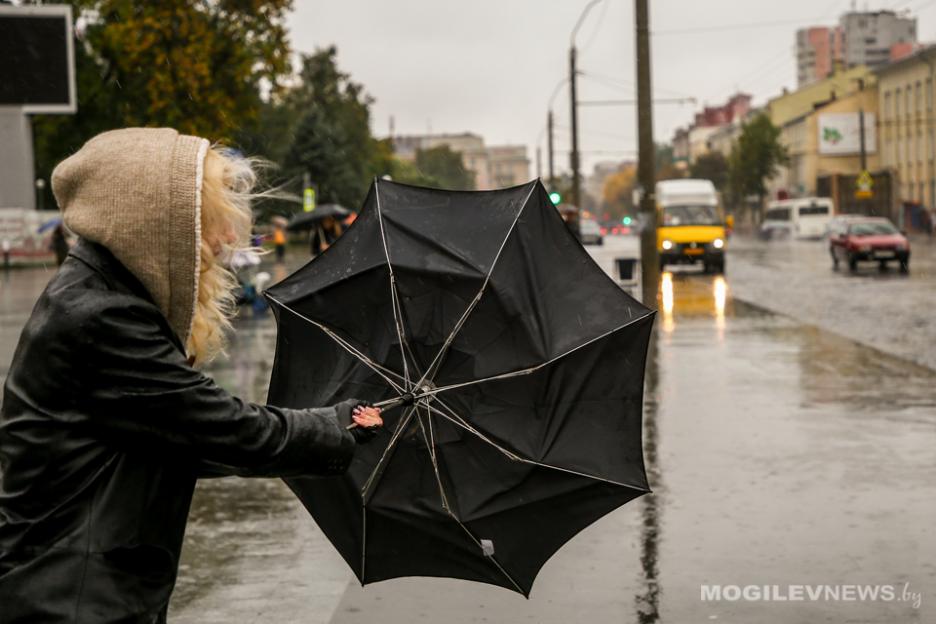 Дожди, местами сильные, и ветер до 15-20 м/с ожидаются в Могилевской области 14 сентября