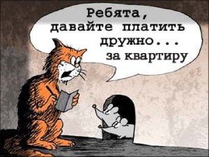 Долг за ЖКУ более 6,4 тысячи рублей накопил житель Шклова за три года