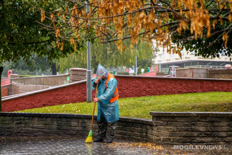 Погода на неделю: дожди, утренний туман и порывистый ветер