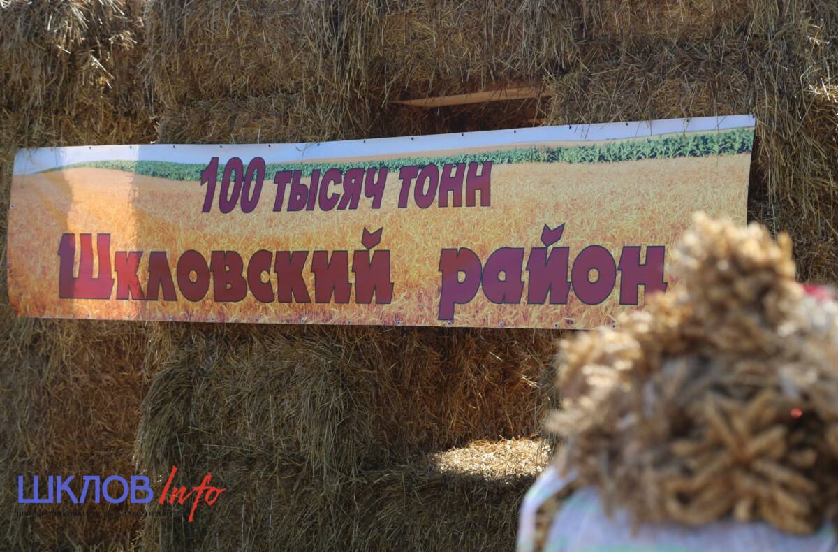 Агрокомплекс Могилевской области на треть увеличил производство продукции. В числе лидеров – Шкловский район