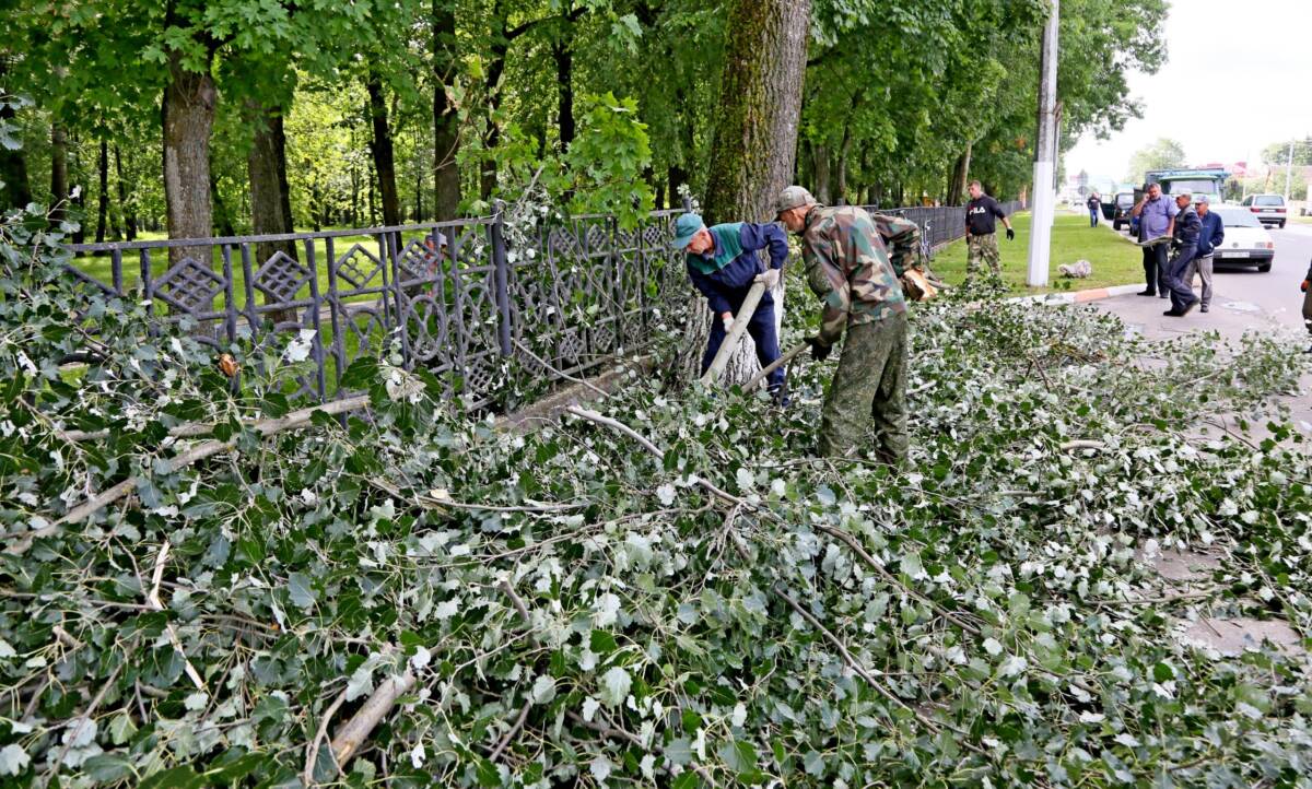 На Шкловщине продолжаются работы по ликвидации последствий непогоды