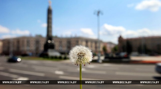 Теплая летняя погода установится в Беларуси в начале следующей недели