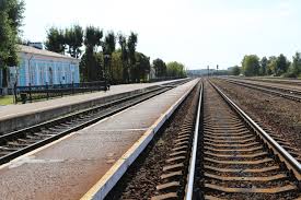 С начала сезона выпаса скота в результате наезда железнодорожного транспорта погибли 6 животных, принадлежащих ОАО «Шкловский агросервис»