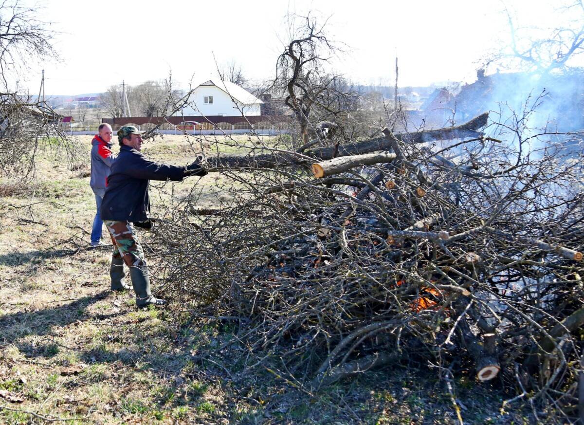 Общими усилиями. Председатель Александрийского сельисполкома рассказал, как у них благоустраивается территория
