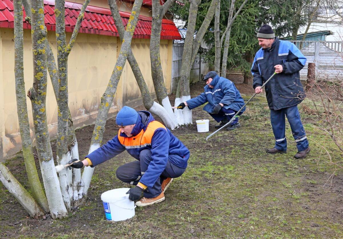 В районе продолжается кампания по наведению порядка на земле и благоустройству территорий
