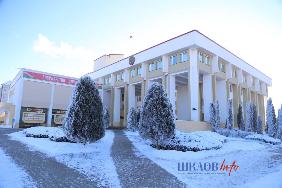 На административной комиссии вновь подняли проблему содержания домашних животных