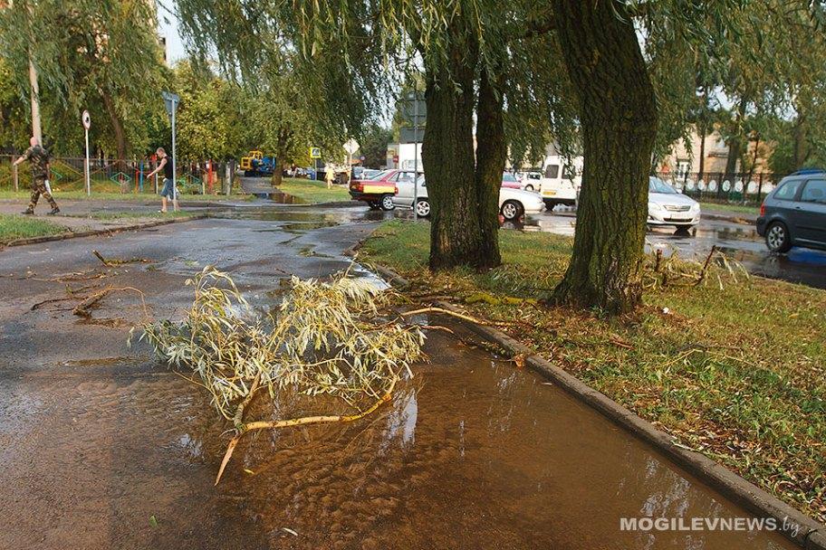 Сильные дожди и усиление ветра до 18-20 м/с ожидается в Могилевской области 26-27 мая