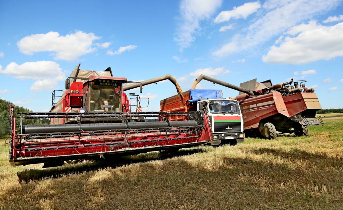В Шкловском районе продолжается уборка урожая
