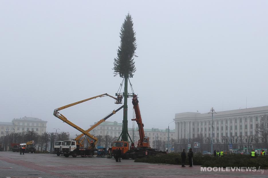 Главную елку области монтируют в Могилеве