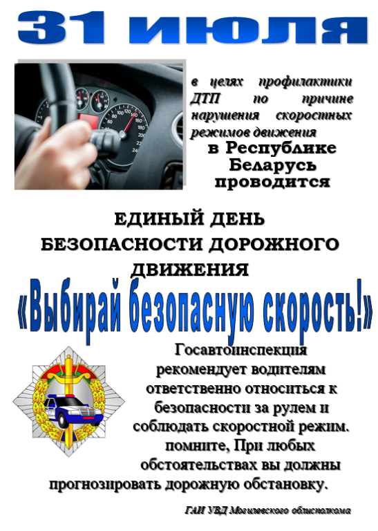 «Выбирай безопасную скорость!»: 31 июля проходит Единый день безопасности дорожного движения