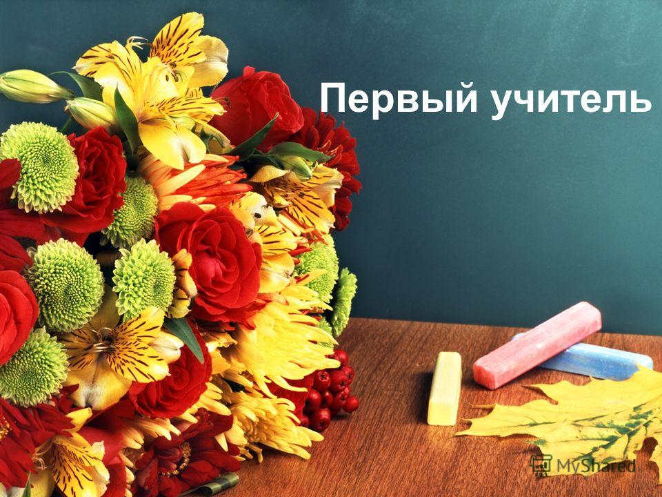 “Ко всем относилась на равных, научила нас основам…” Шкловчане рассказали о своих первых учителях