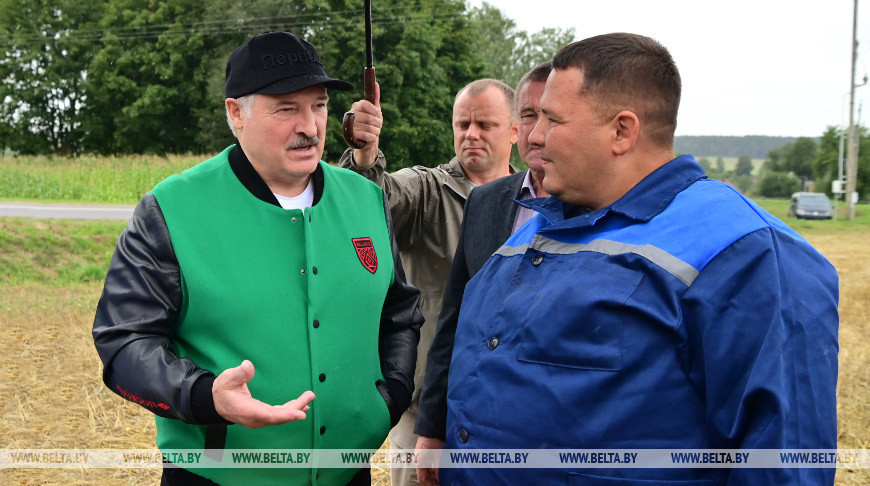 «Ни одна страна так не помогает!» Александр Лукашенко озвучил формулу для поддержки в сельском хозяйстве