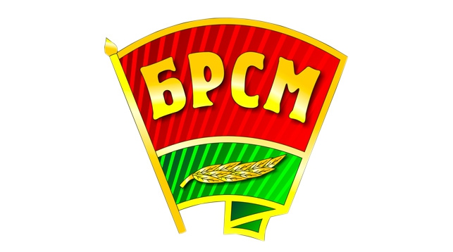Районный комитет БРСМ предлагает помощь пожилым жителям района