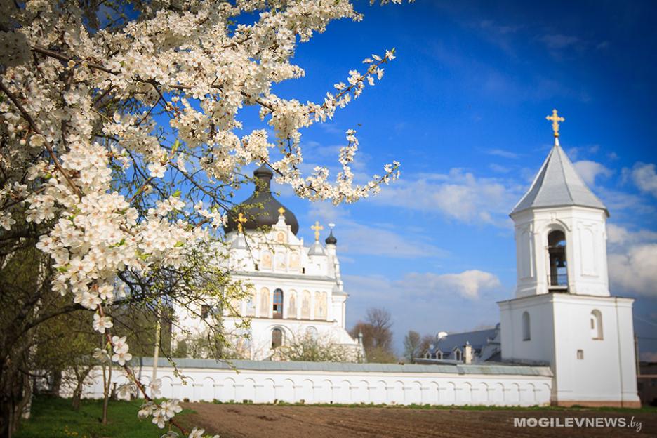 Погода на неделю: до +19°С, кратковременные дожди, но в воскресенье ночью возможен «минус»