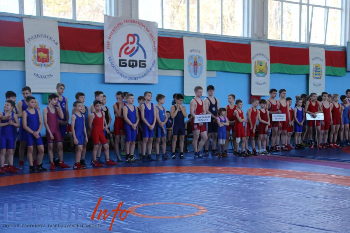 В Шклове прошел 39-й республиканский турнир по вольной борьбе памяти Карначенка