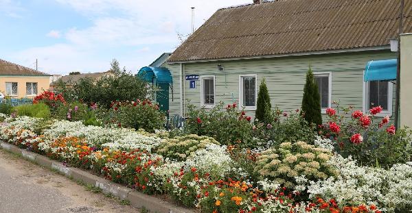 В Шкловском районе пройдет смотр-конкурс на лучшее благоустройство и озеленение домовладений