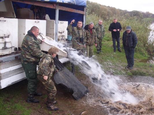 Осеннее зарыбление провели в Шклове