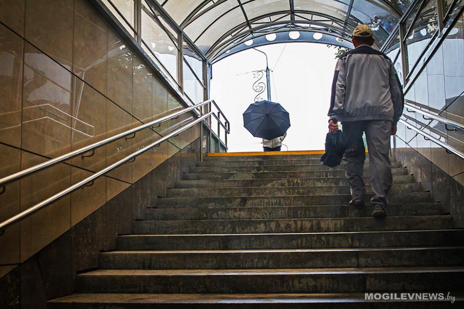 До +13°С и дожди ожидаются в первой половине следующей недели в Могилевской области