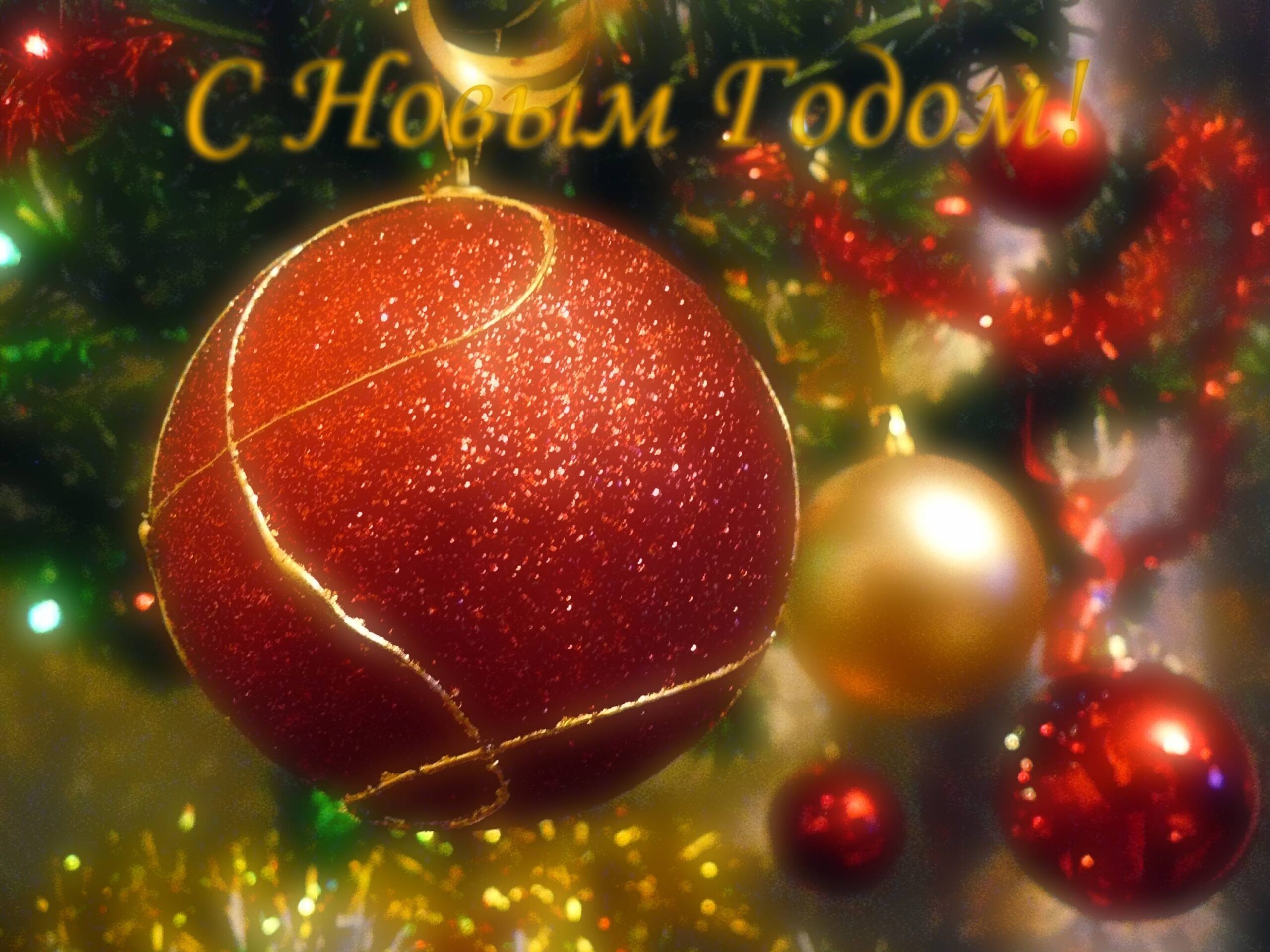 Дорогие шкловчане!