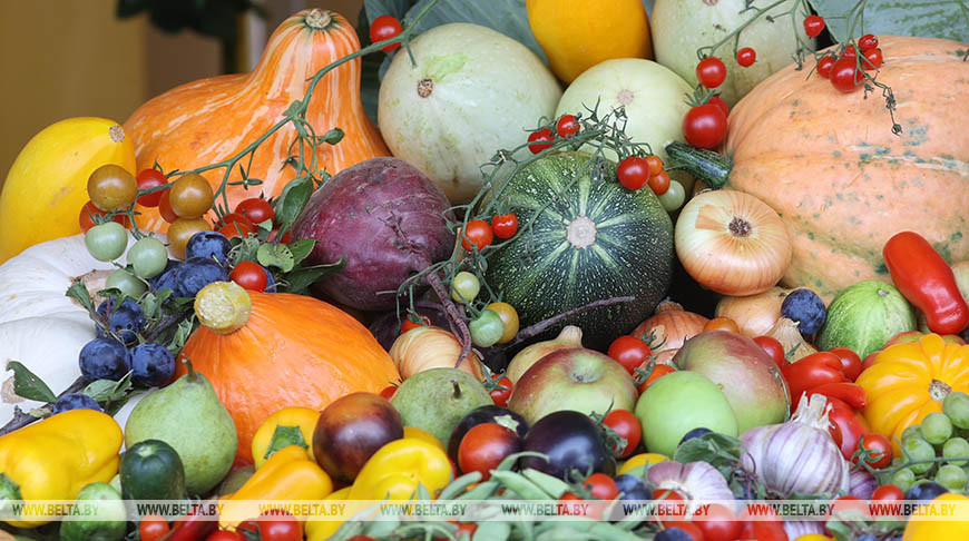 Минсельхозпрод: выращенной продукции будет достаточно для формирования стабфондов