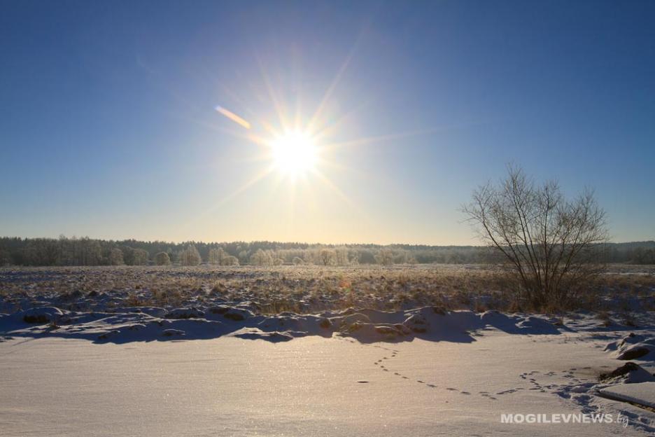 Погода на неделю: температурные качели от +4°С до -25°С в Могилевской области