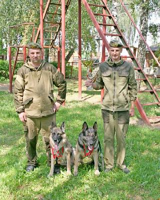 И снова победа шкловских кинологов