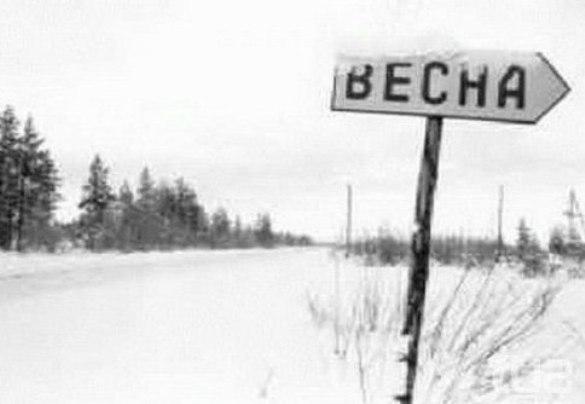 Сильный ветер ожидается в первый день марта в Могилевской области