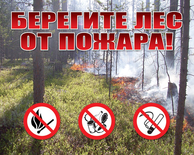 МЧС напоминает: берегите лес от пожара!