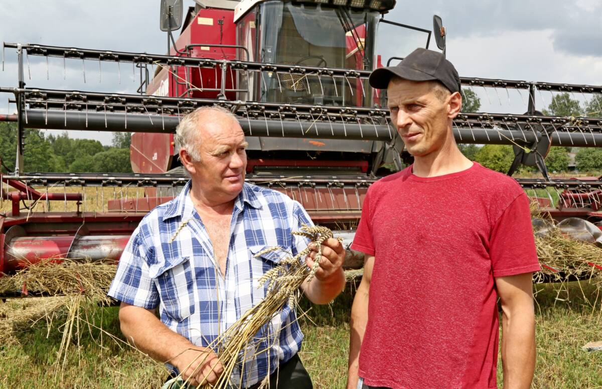 На Шкловщине идет массовая уборка зерновых
